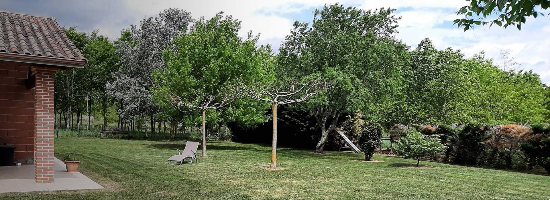 Entretien jardin à Montauban